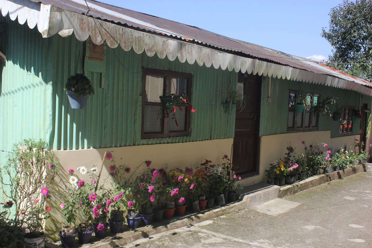 Our lamahatta homestay second house, its on the opposite side of the main roadway house, decorated with many flowers